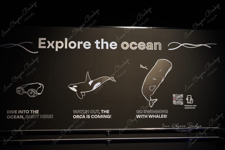 Safe sustainable oceans exhibition inside the Norway Pavilion in the Opportunity District section of the Dubai Expo 2020, Dubai, UAE