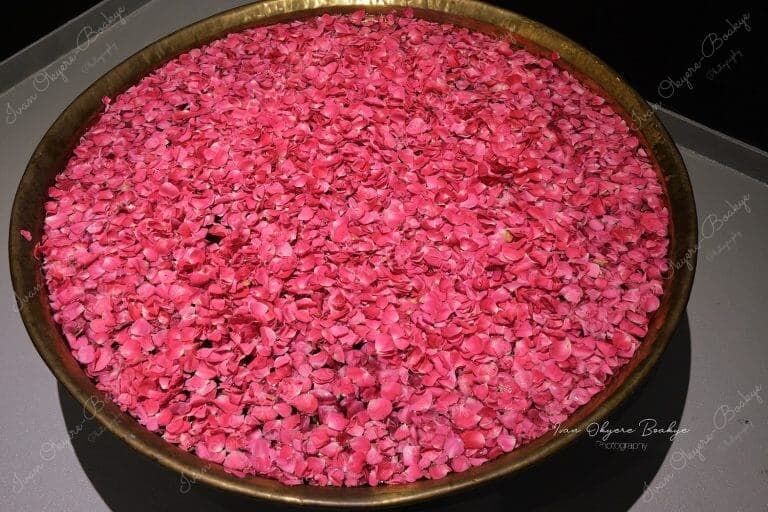 Fresh rose petals in water exhibition inside the Pakistan Pavilion in the Opportunity District section of the Dubai Expo 2020, Dubai, UAE