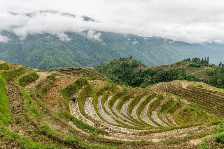 Elevated view of rice fields on a foggy day at Longsheng Rice Terraces, Longji, China
