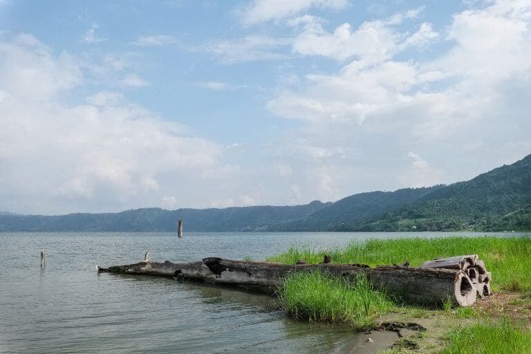 Old wooden tree trunk lying at the edge of the lake with mountains in the background at Lake Bosomtwe in Ghana