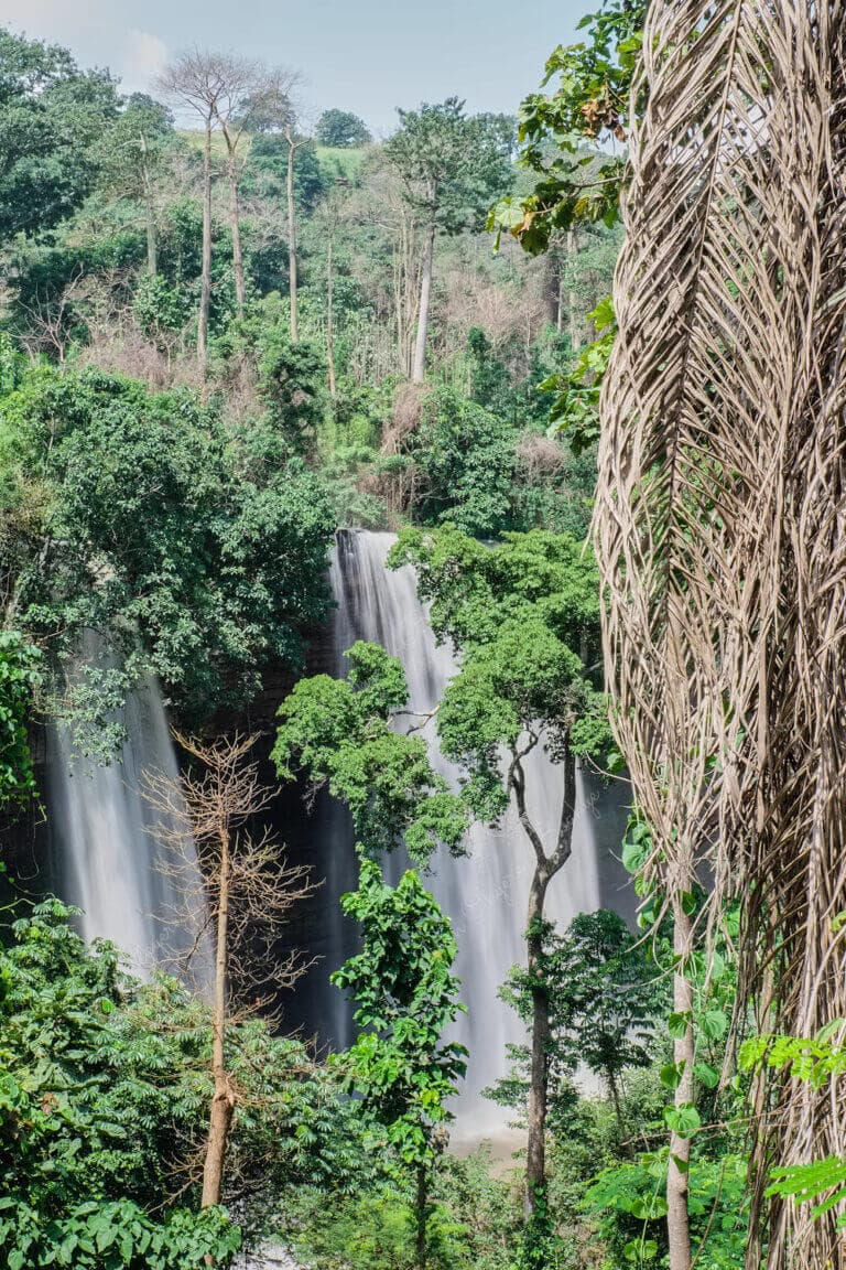 Cascading twin waterfalls between tropical trees at Boti Waterfalls in Ghana