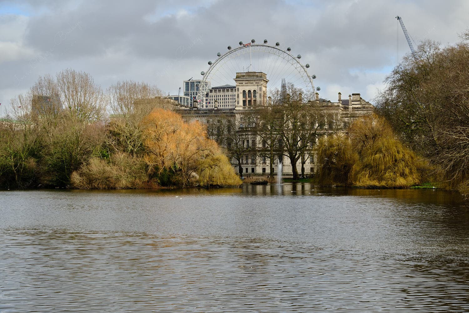 View of London Eye from St James Park