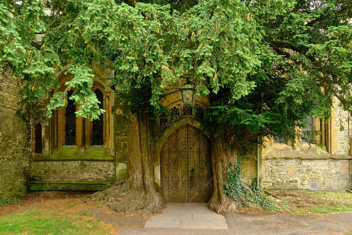 The Tolkien door at St Edwards Church flanked by two ancient yew trees in Stow on the Wold, Cotswolds, Gloucestershire, England, UK