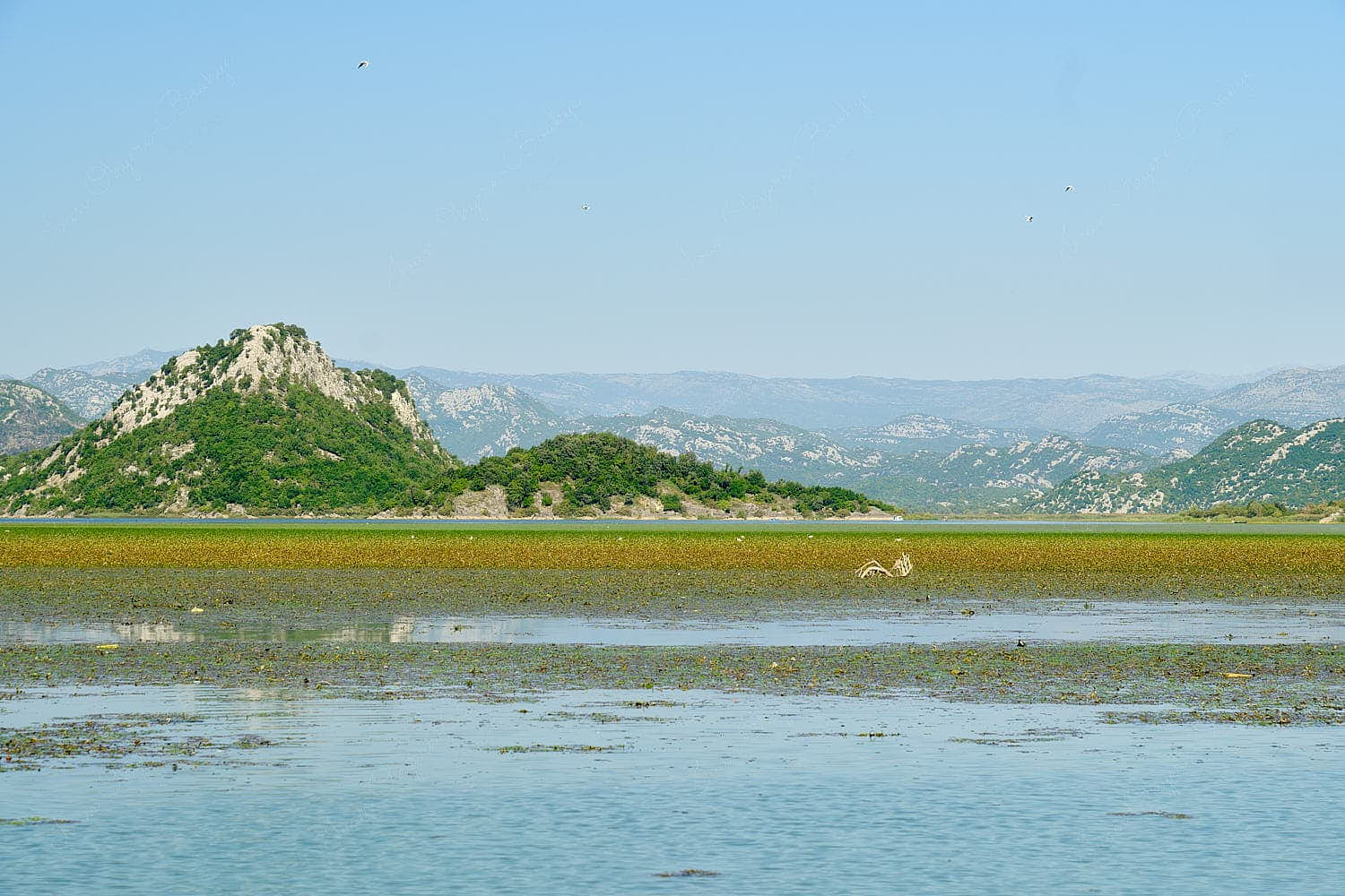 The gorgeous natural seascape of Skadar Lake, Montenegro