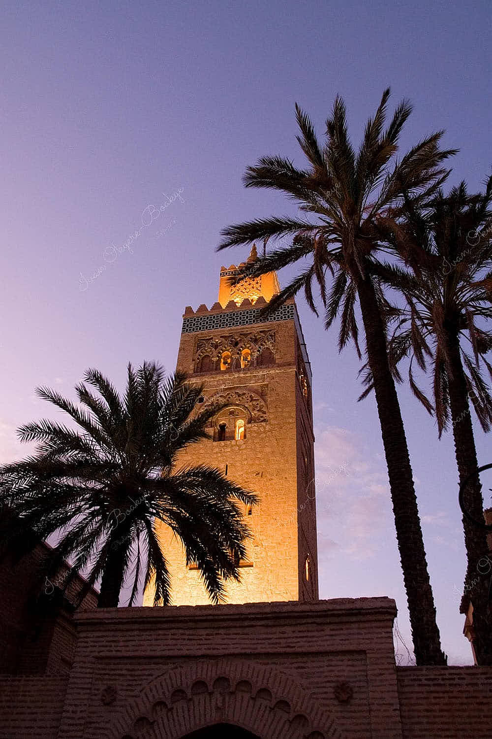 Illuminated Koutoubia Mosque in Marrakech in Evening framed by Palm Trees, Marrakech, Morocco