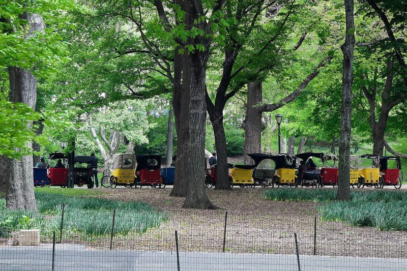 Bicycle rickshaws parked in Central Park, New York, America