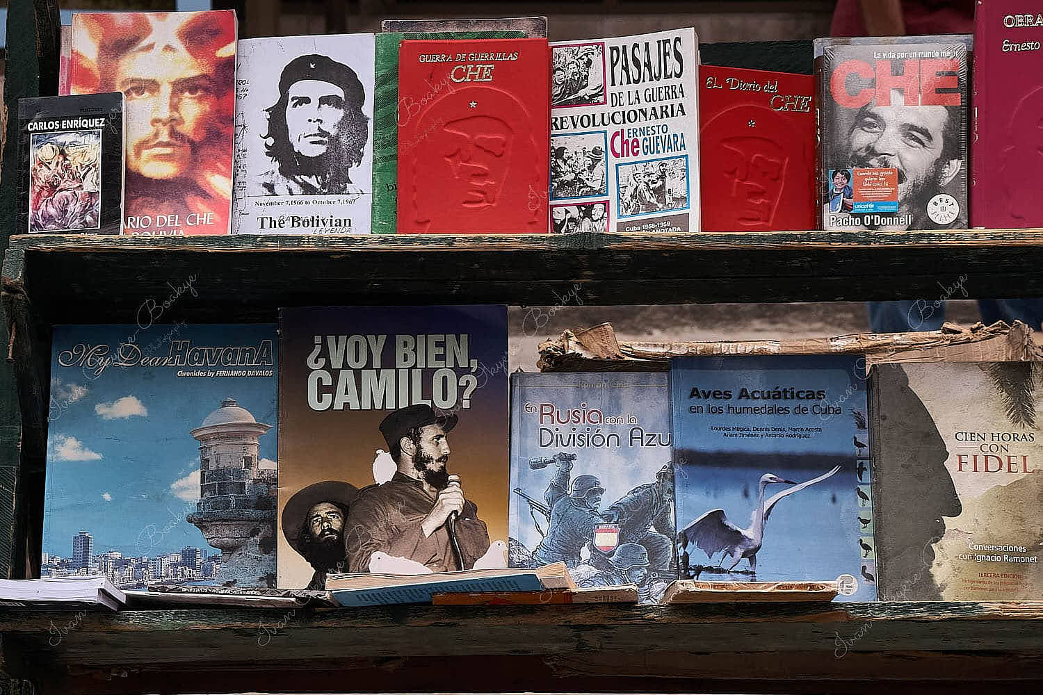 Book stall with books about Che Guevara in Plaza De Armas, Habana Vieja; Havana, Cuba