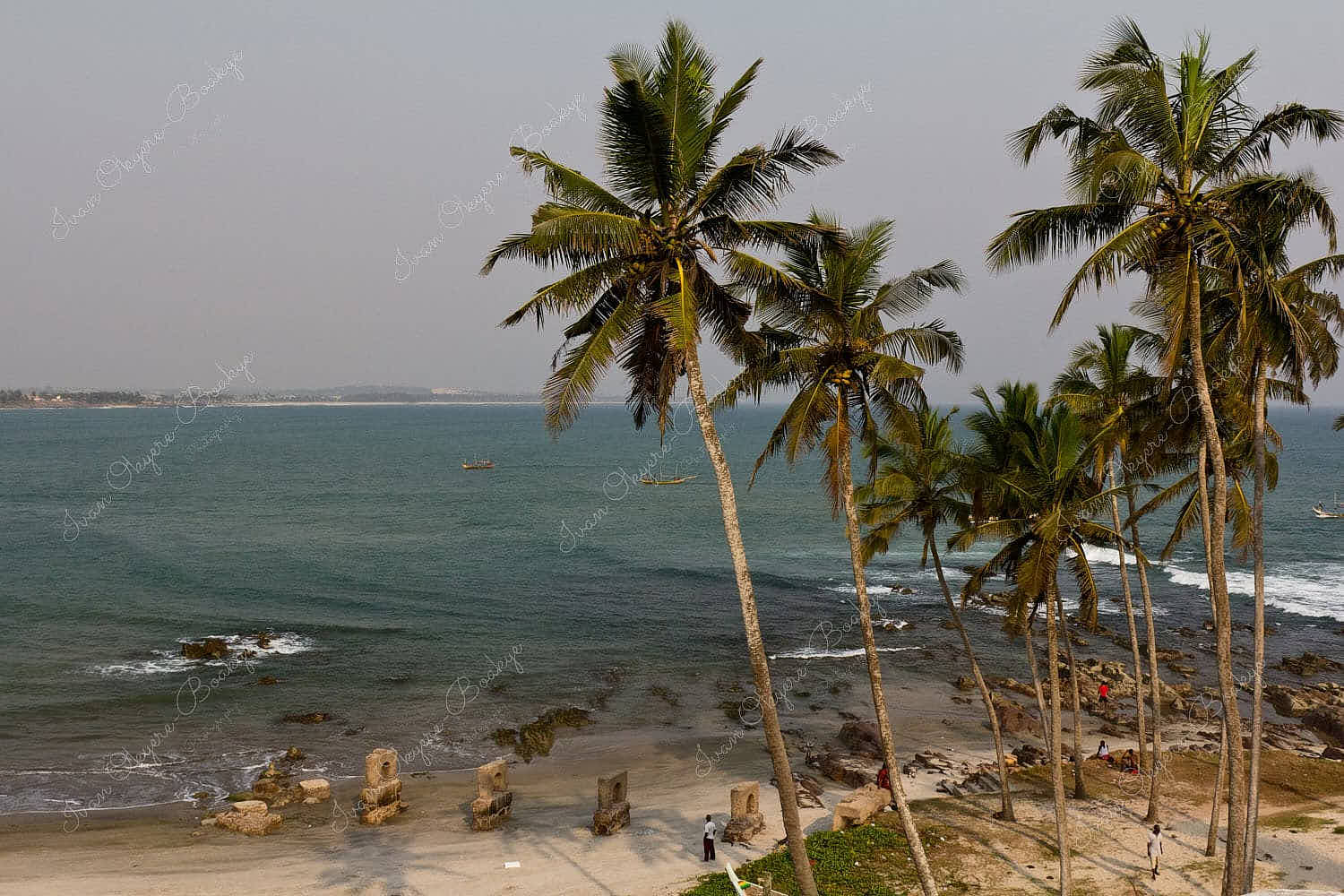 Elmina beach with palm trees, Cape Coast, Ghana