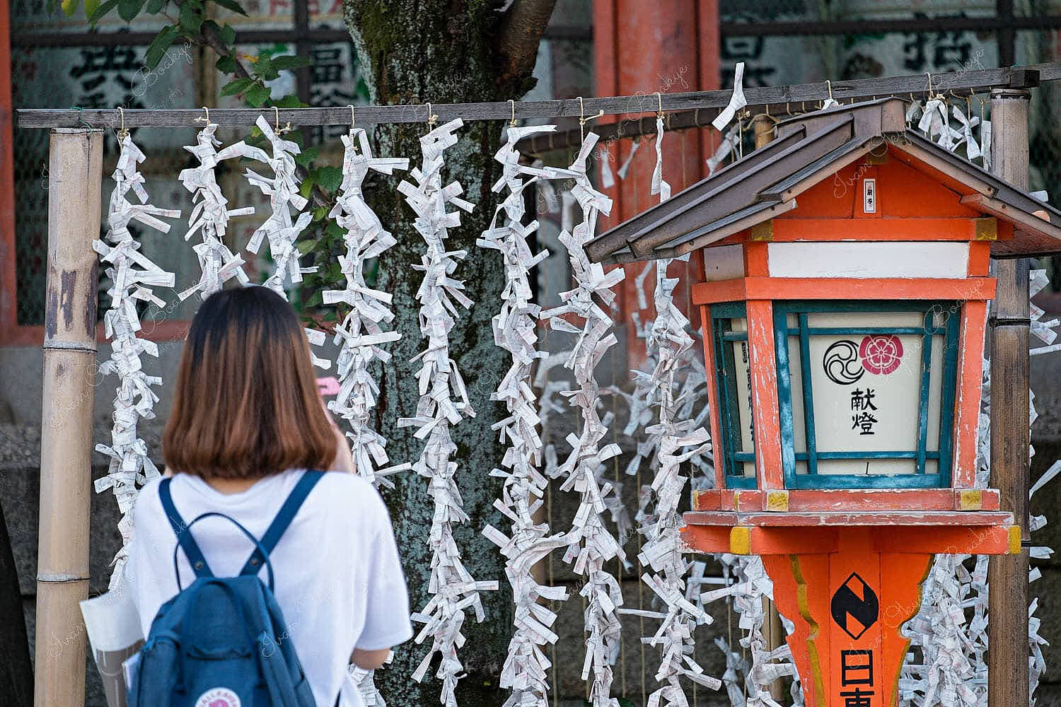 Woman standing n front of Omikuji (Fortune Papers) at Yasaka Shrine, Kyoto, Japan