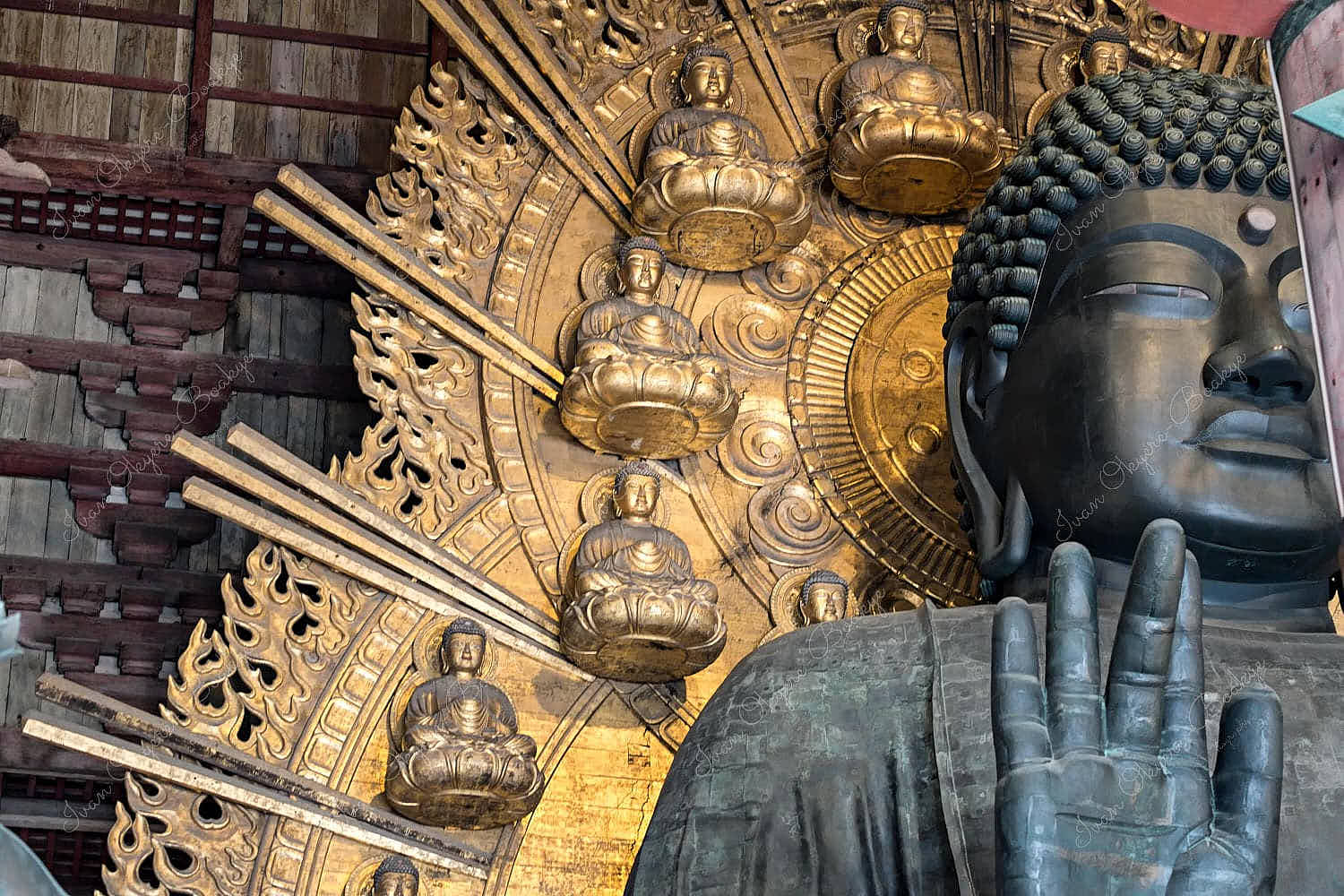 A gigantic Buddha framed by tiny golden plated buddhas in the Daibutsuden (Big Buddha Hall) of Tōdaiji (Great Eastern Temple) in Nara, Japan