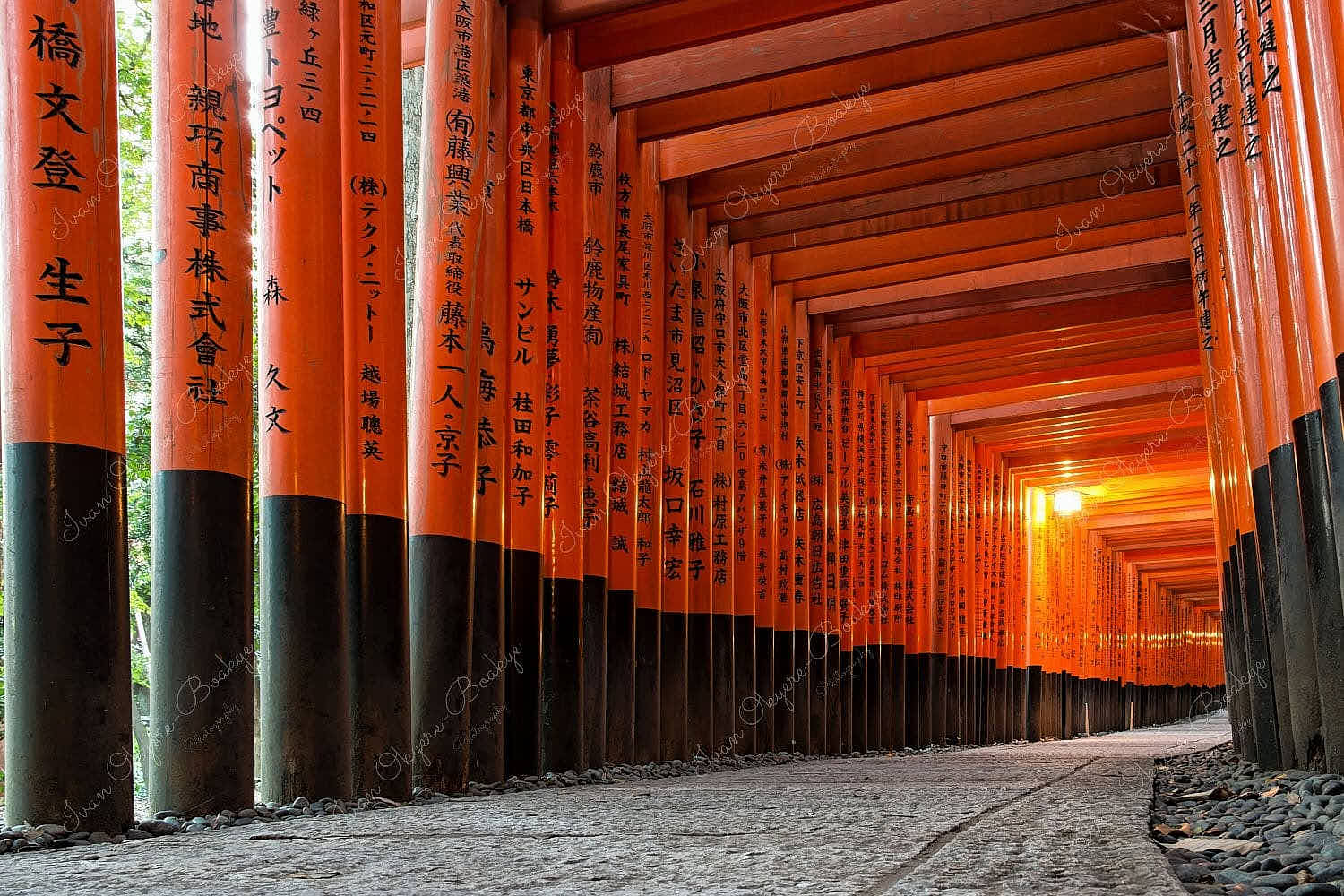 The famous Vermilion Torii Gate at Fushimi Inari Shrine in Kyoto, Japan