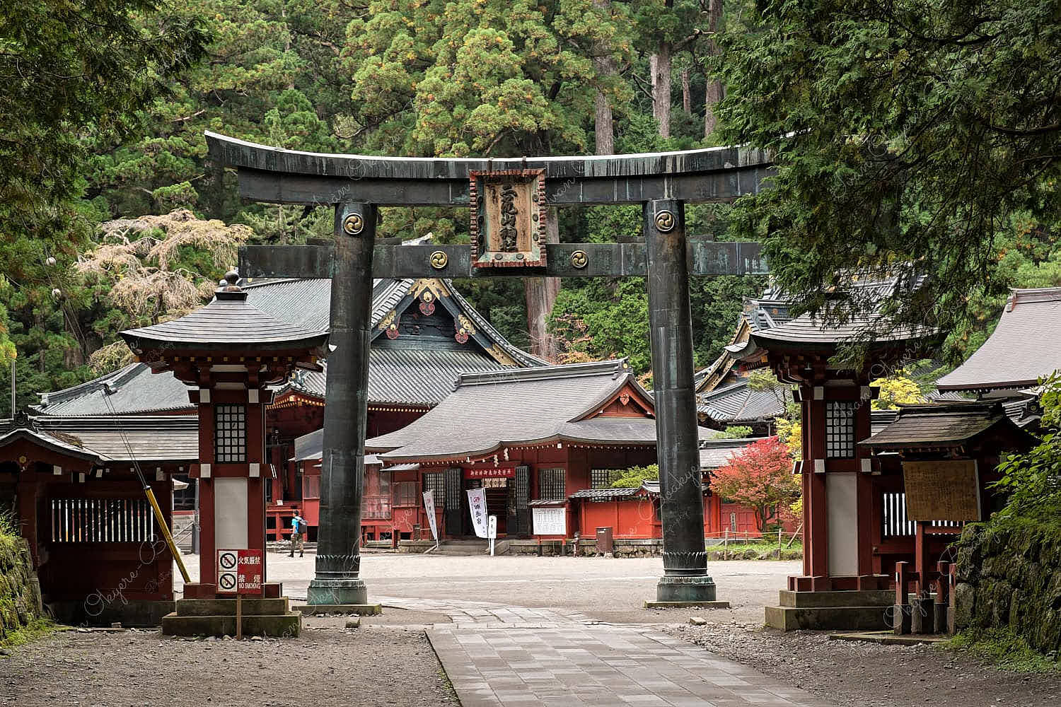 A beautiful Torii Gate at Toshogu Shrine, Nikko, Japan