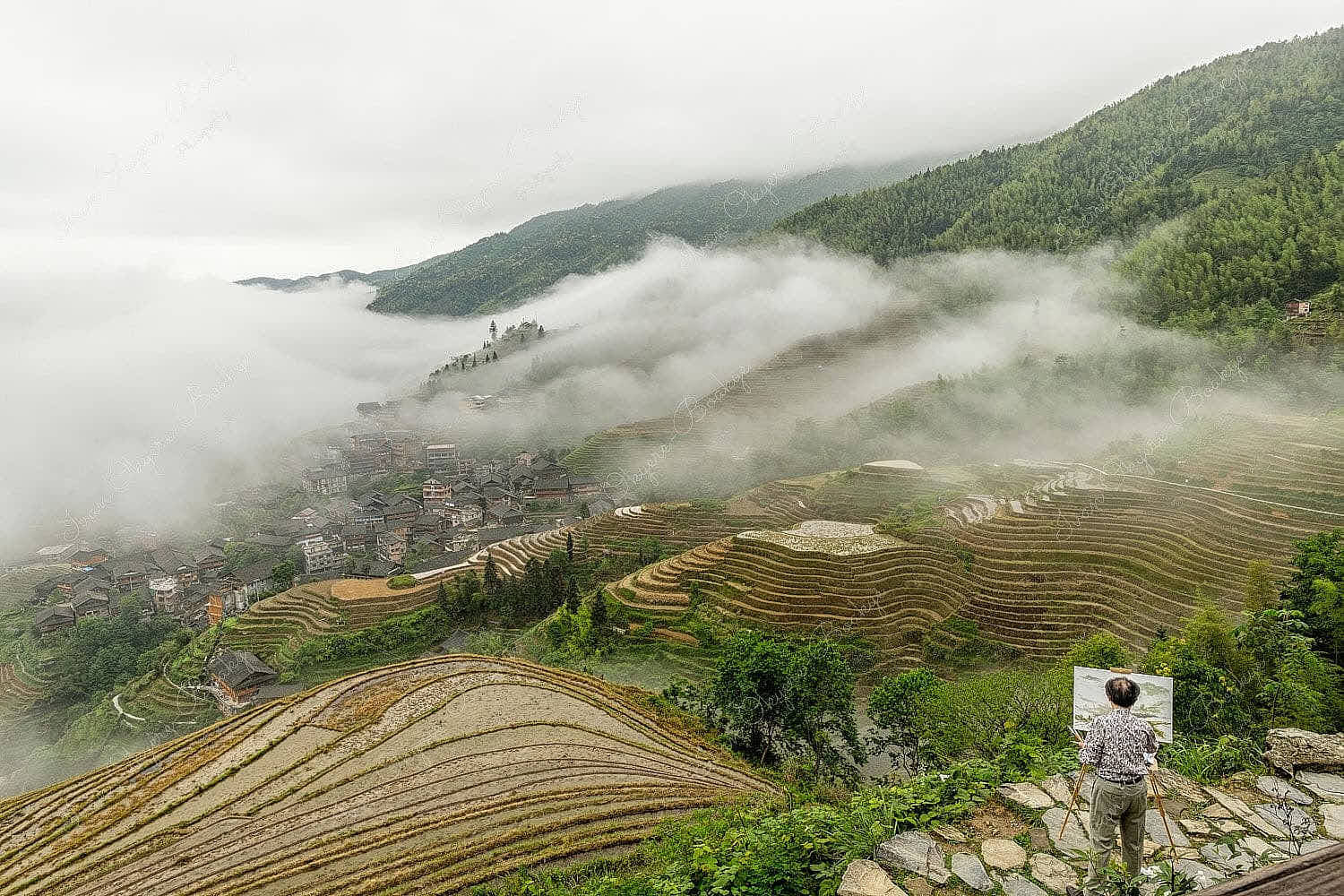 Elevated view of rice fields on a foggy day at Longsheng Rice Terraces, Longji, China