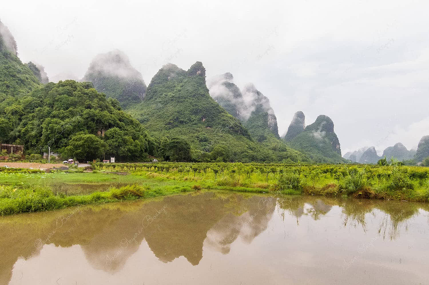 Field with small growing trees surrounded by karst mountains on a foggy day in Guilin, China