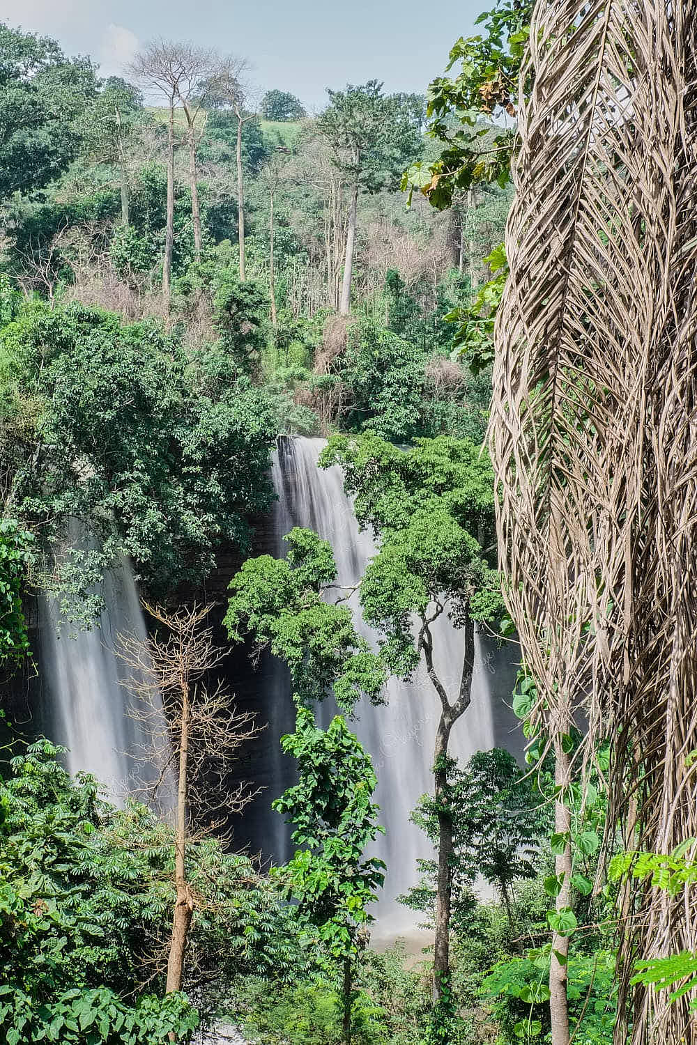 Cascading twin waterfalls between tropical trees at Boti Waterfalls in Ghana
