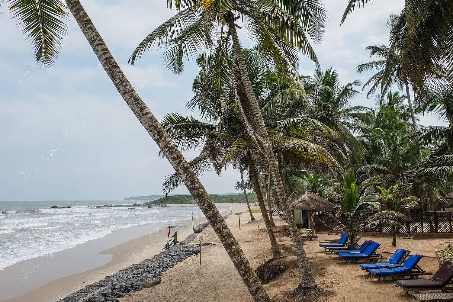 Deserted beach with palm trees and empty beach chairs at Anomabo Beach in Ghana