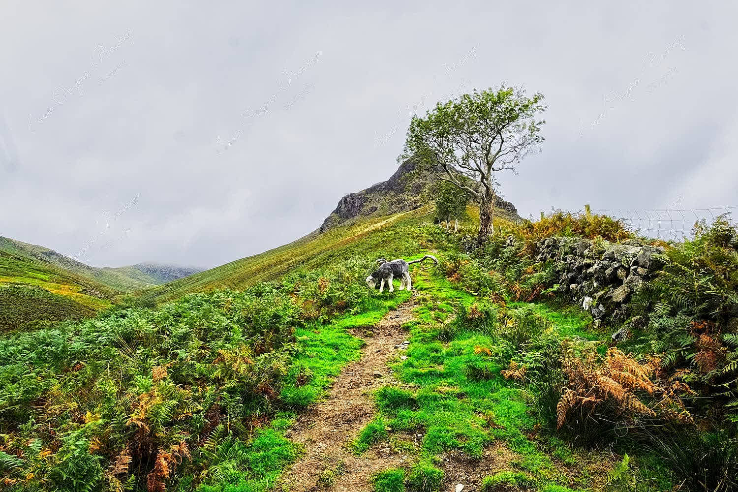 Yewbarrow at Wastwater in Lake District, United Kingdom