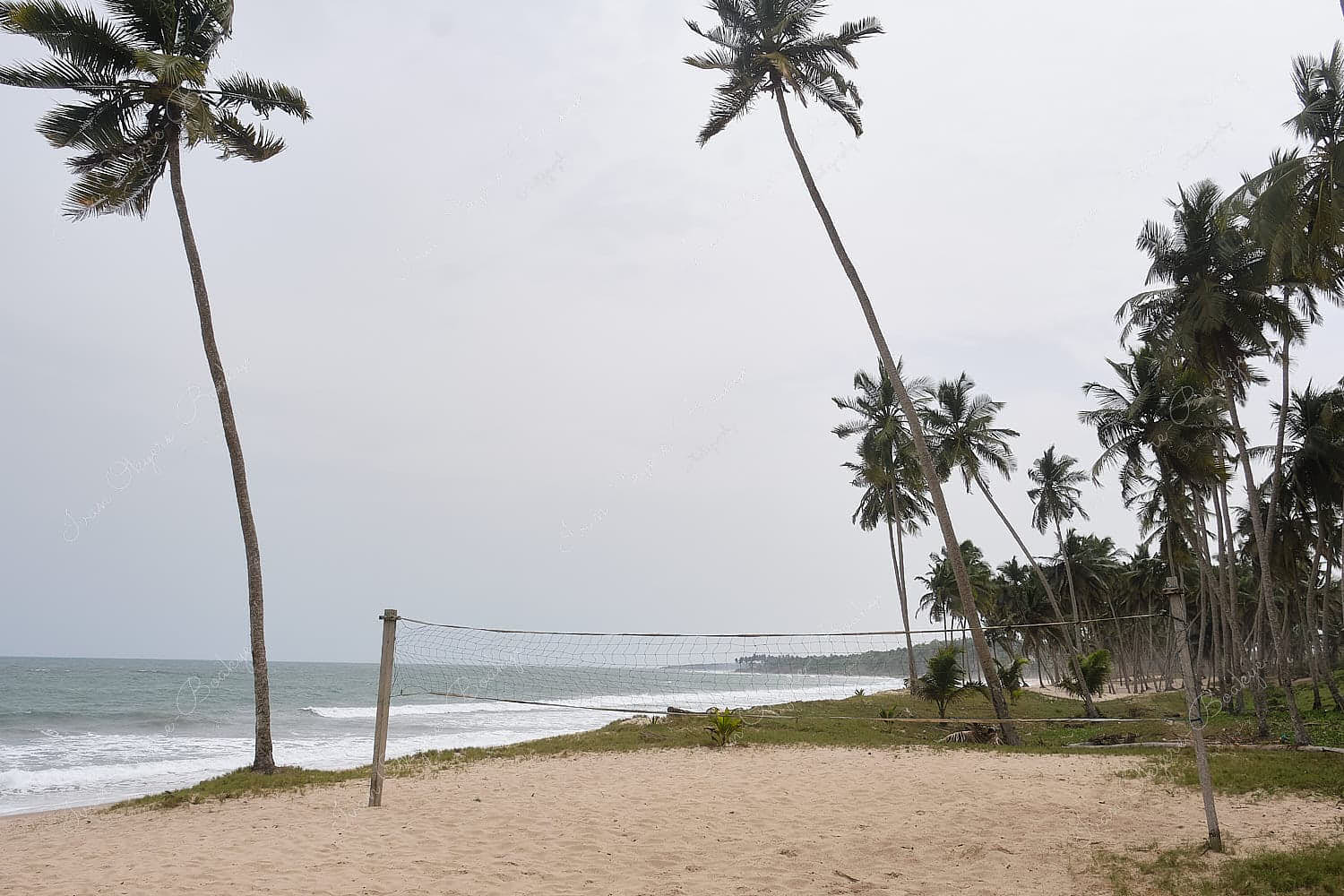Beach volleyball stand framed by coconut trees on the golden sands of Tills No 1 Beach in Gomoa Fetteh, Ghana